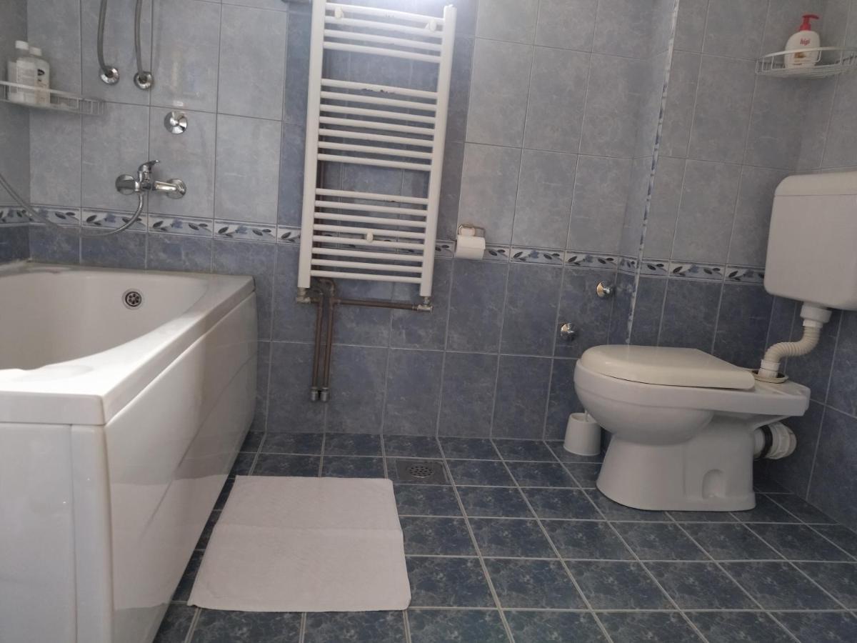 Aleksandar Apartmani Pale Zewnętrze zdjęcie